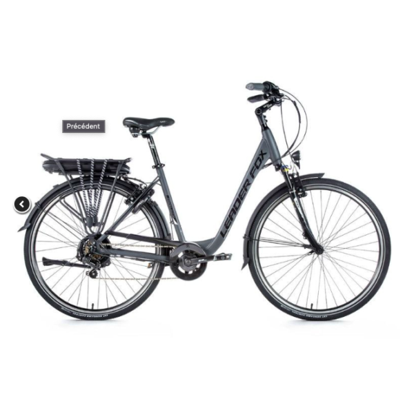 Vélo électrique LEADER FOX - PARK gris vu de côté